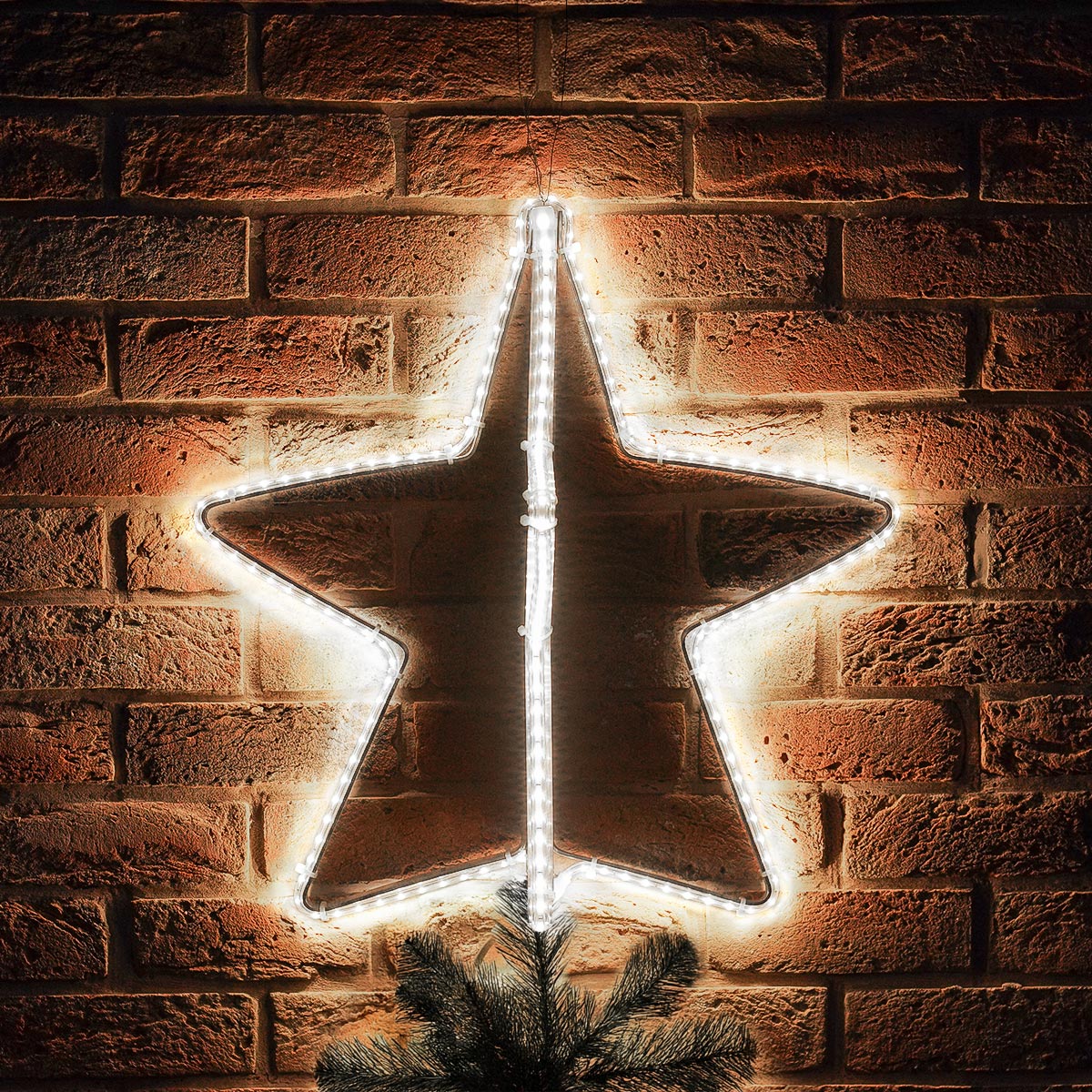 ConnectPro® Star Light Outdoor Silhouette