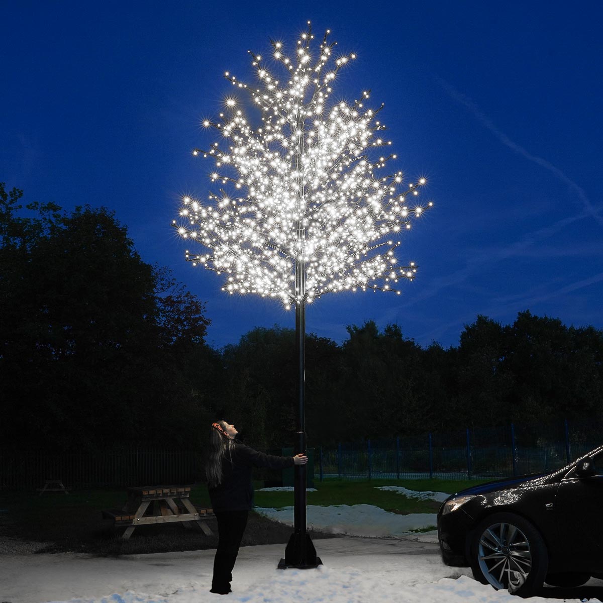ConnectPro® 5m Branch Tree Static