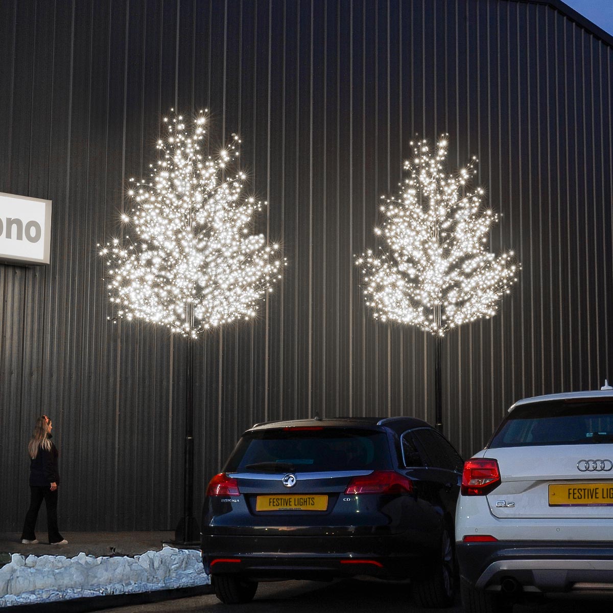 ConnectPro® 5m Branch Tree Static