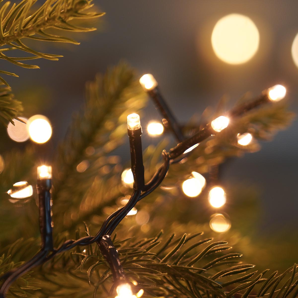 Indoor & Outdoor Twinkling Christmas Tree Fairy Lights