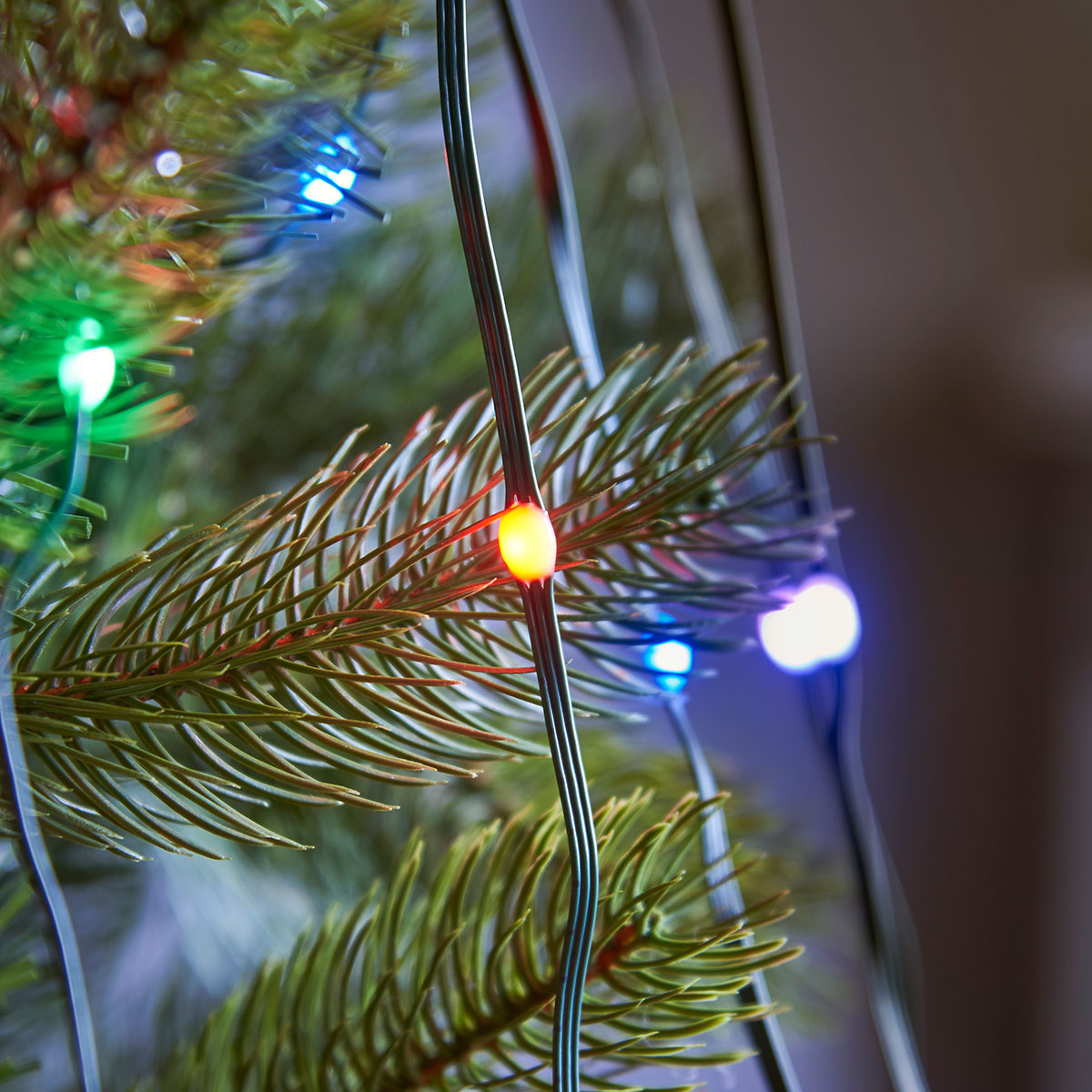 5m Indoor Digital Micro LED Christmas Tree Lights