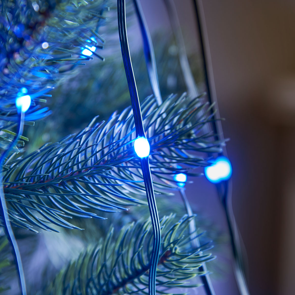 5m Indoor Digital Micro LED Christmas Tree Lights