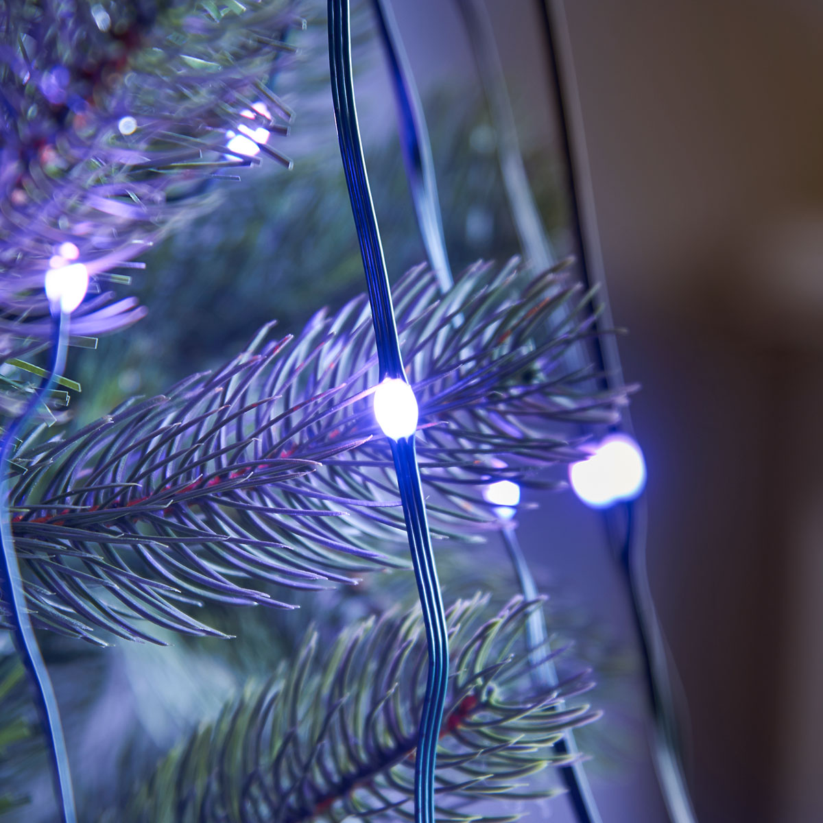 5m Indoor Digital Micro LED Christmas Tree Lights