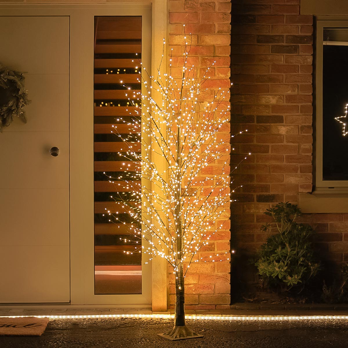 Festive Black Microdot Tree with Warm White LEDs