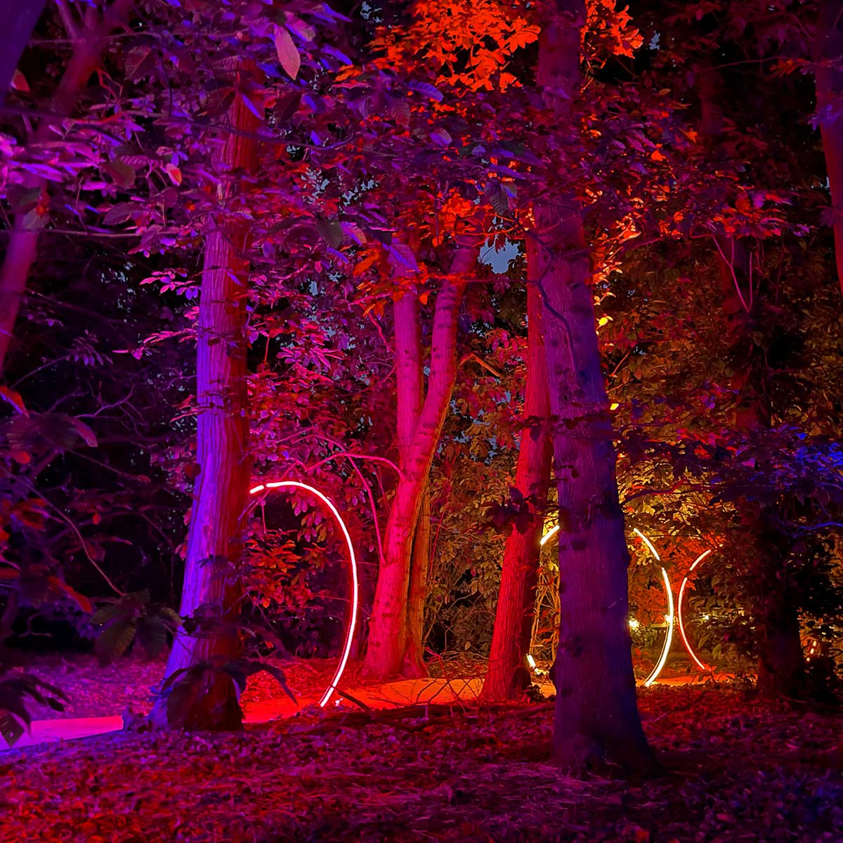 ConnectPro® Cut to Length Outdoor LED Neon Rope Light