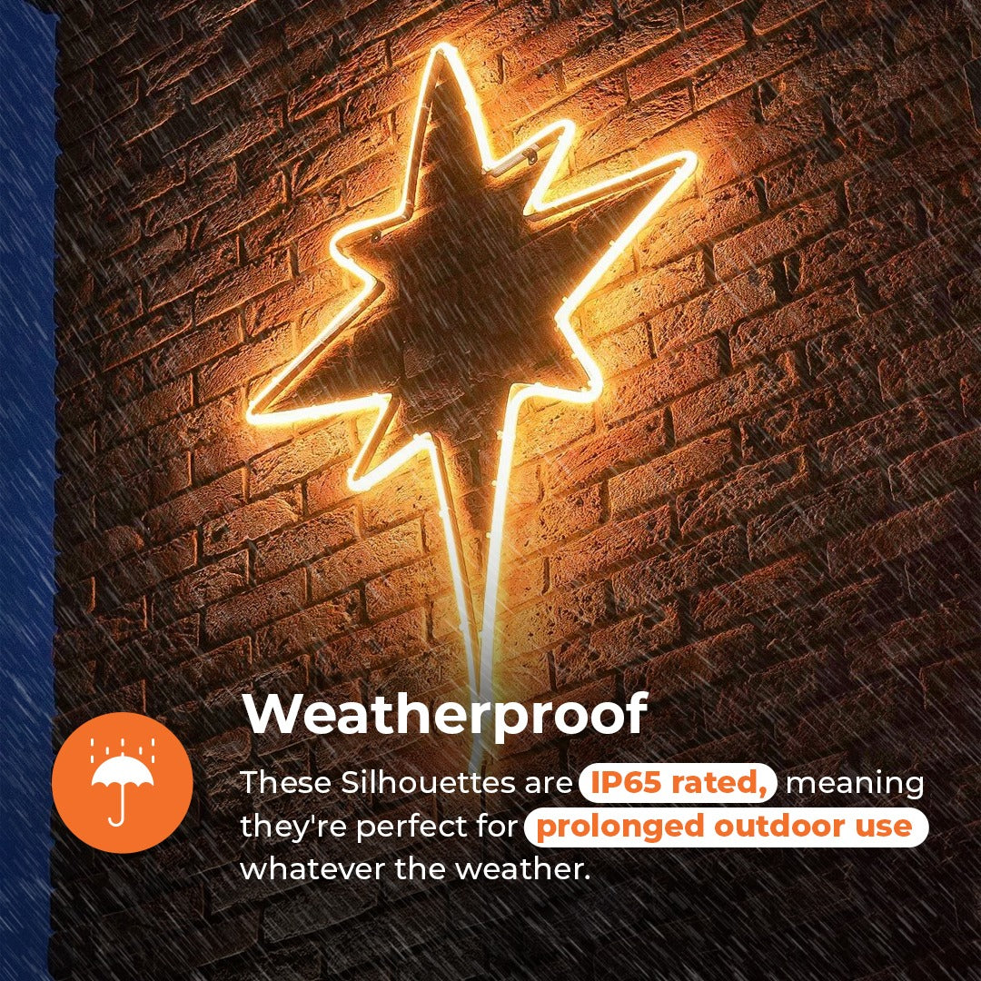 ConnectPro® 1.2m LED Connectable Neon Flex Outdoor North Star Light
