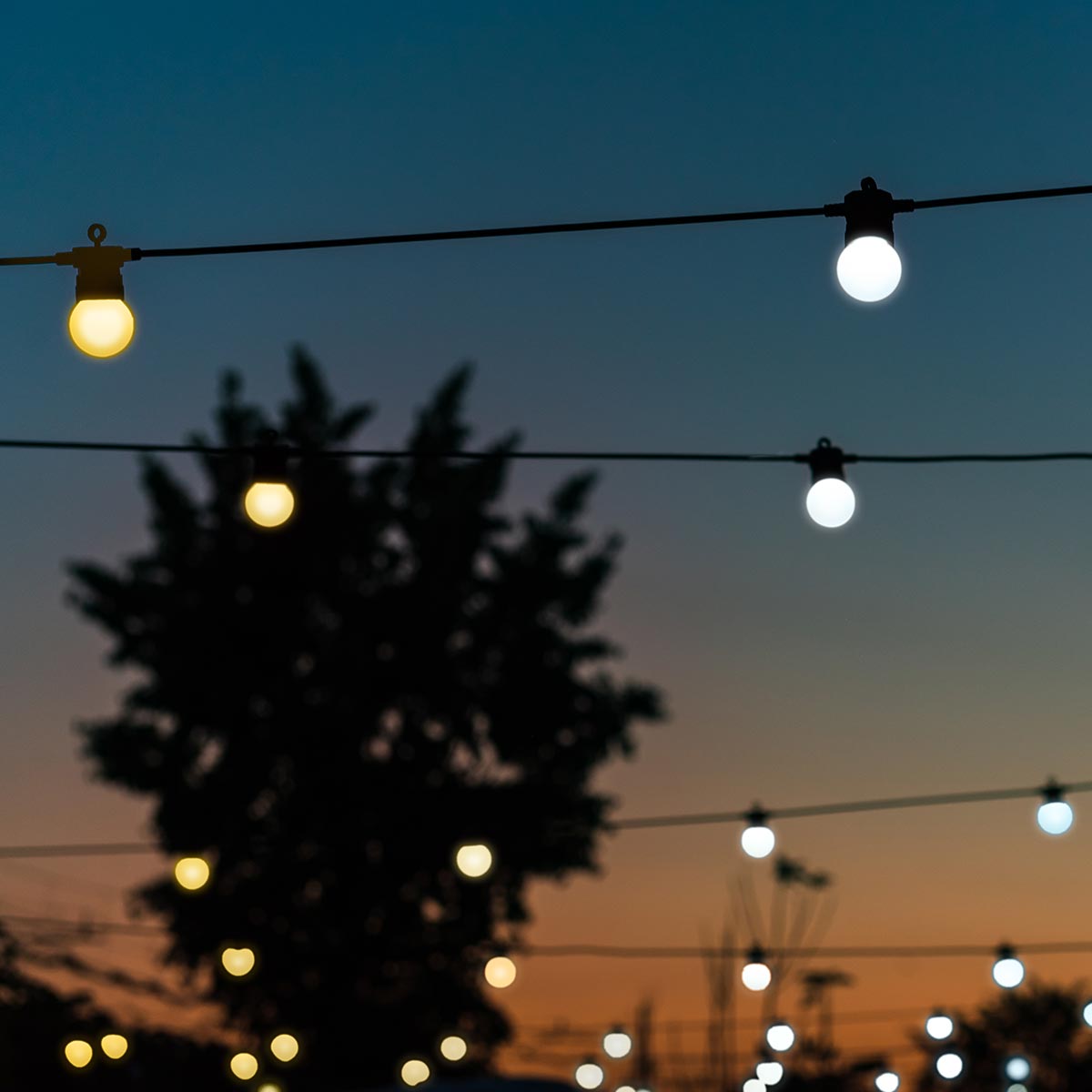 Smart App Controlled Twinkly Festoon Lights, Gold Edition - Gen II