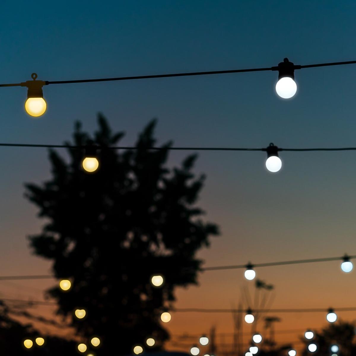 Smart App Controlled Twinkly Festoon Lights, Gold Edition - Gen II