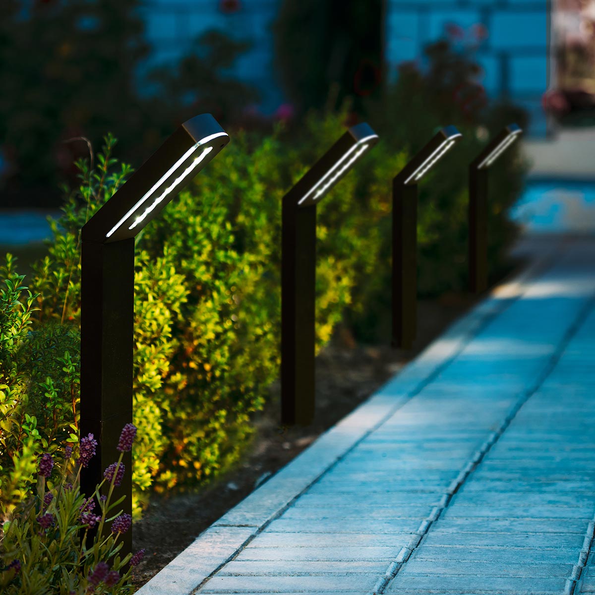 Solar Path Lights