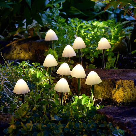 Buying Solar Lights