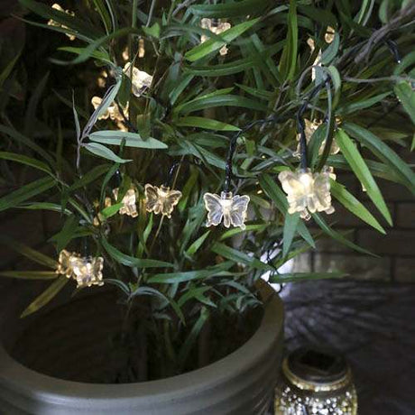Butterflies in shrub