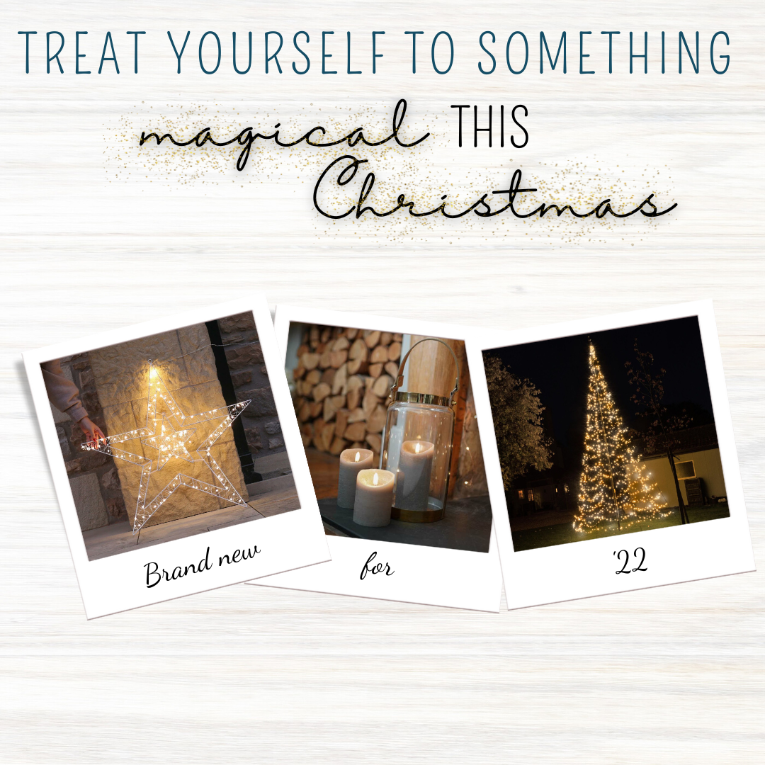 Make Christmas ‘22 merry and bright