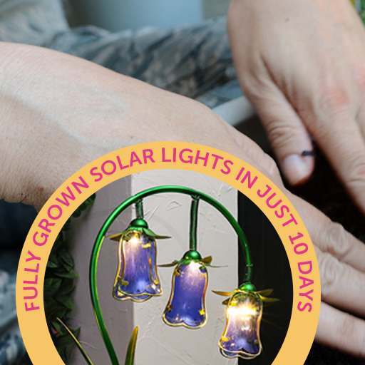 Coming soon - our revolutionary grow your own solar lights!