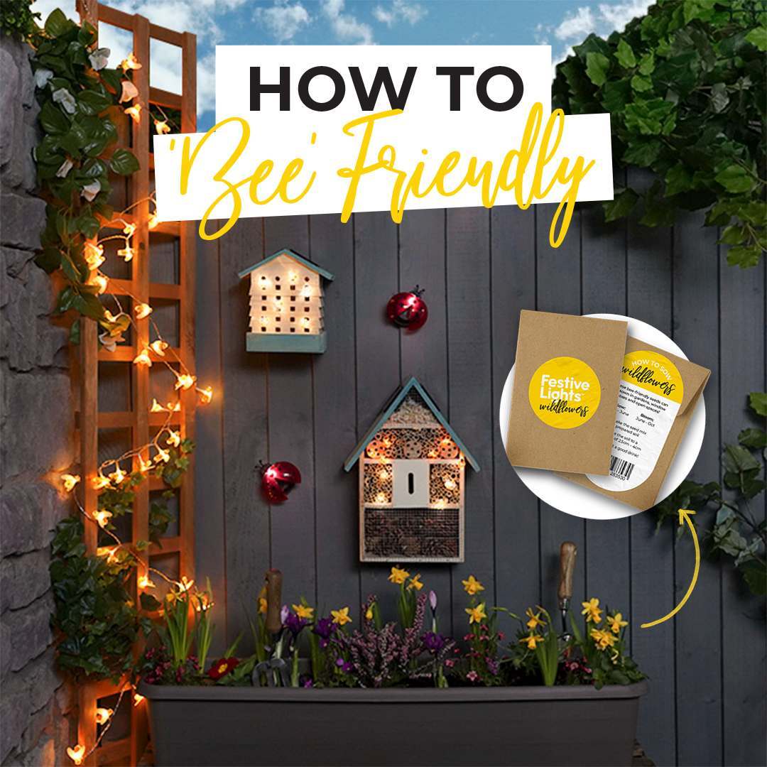 Top tips to 'Bee Friendly' 🐝