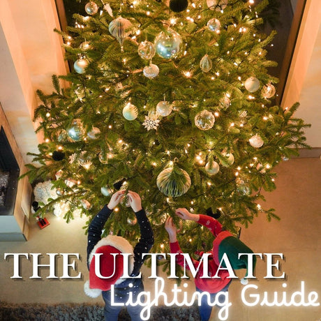 The Ultimate Guide to Christmas Lights