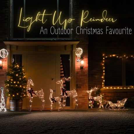 Light Up Reindeer: An Outdoor Christmas Favourite