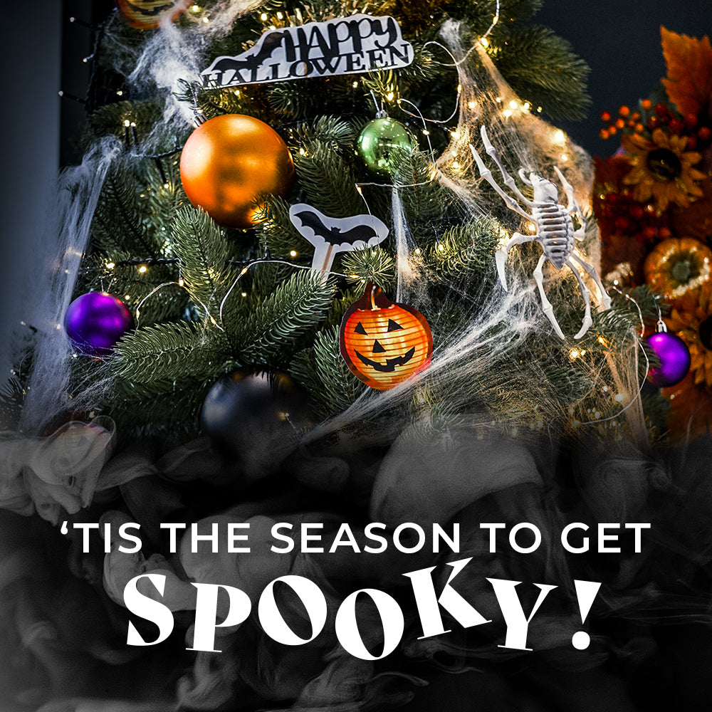 'Tis the season to get spooky! 🎃