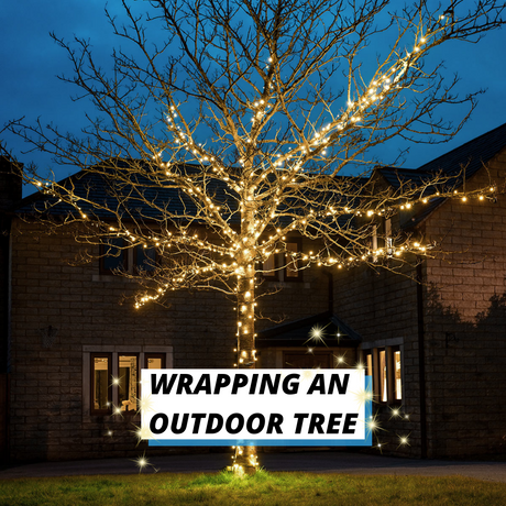 How to install Christmas lights on an outdoor tree with our ConnectGo lights