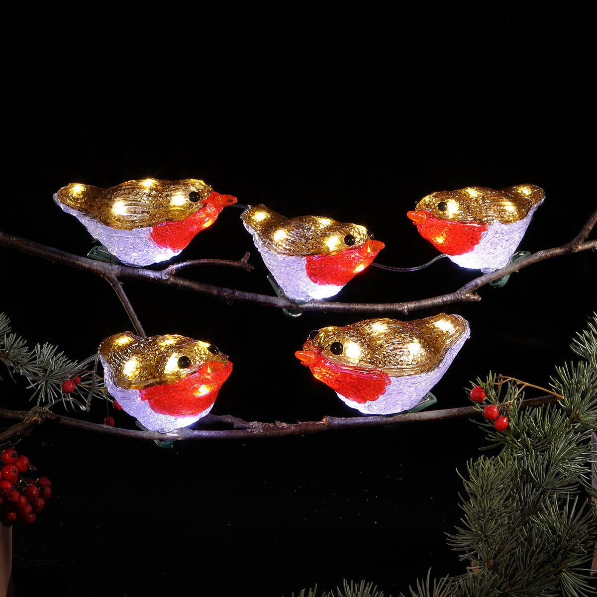 5 Outdoor Battery Acrylic Robins with Clips Christmas Figures