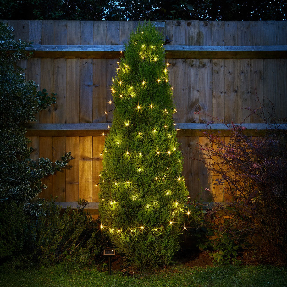 5m Solar Fairy Lights 50 Warm White LEDs
