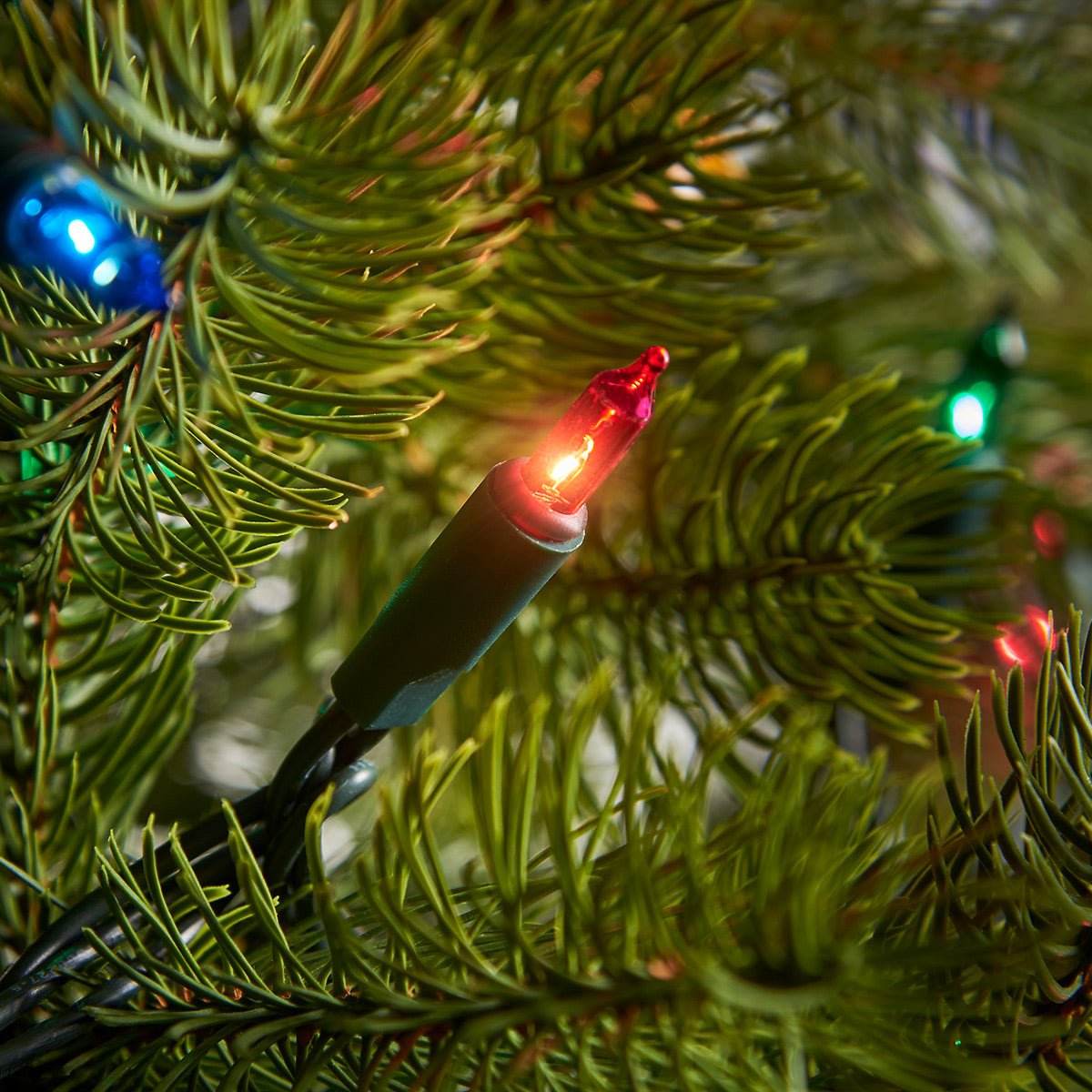 Indoor Traditional Classic Mini Christmas Fairy Lights