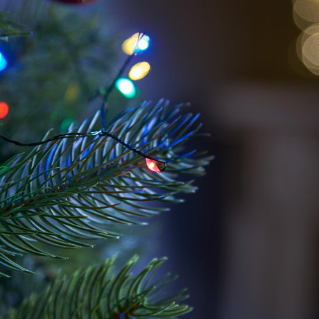 Indoor & Outdoor Firefly Decor Tree Lights on Green Wire, Multi Coloured LEDs
