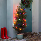 2.4m Canterbury Belles Multi Coloured LED Outdoor Battery Christmas Fairy Lights
