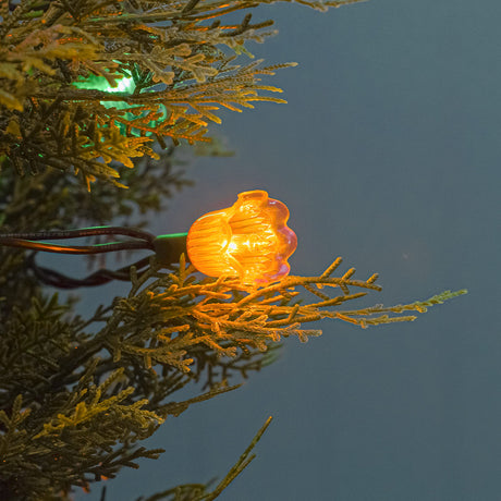 2.4m Canterbury Belles Multi Coloured LED Outdoor Battery Christmas Fairy Lights