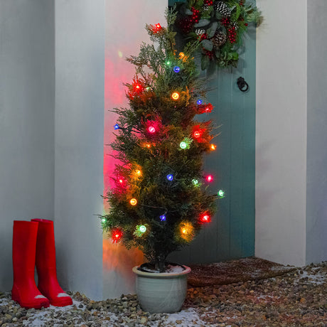 Traditional Pickwick Multi Coloured LED Outdoor Christmas Tree Fairy Lights