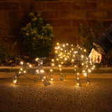 Black Frame Outdoor Light up Reindeer Doe & Fawn