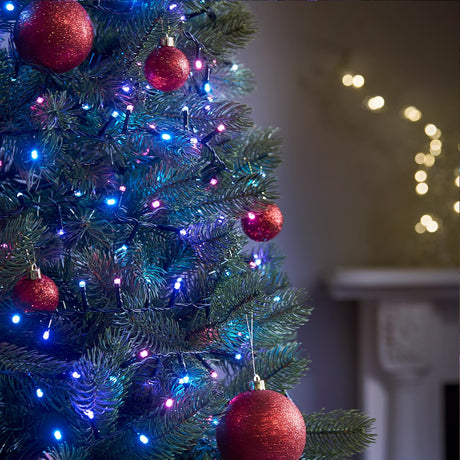 Outdoor Christmas Tree LED Fairy Lights