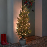 Outdoor Christmas Tree LED Fairy Lights