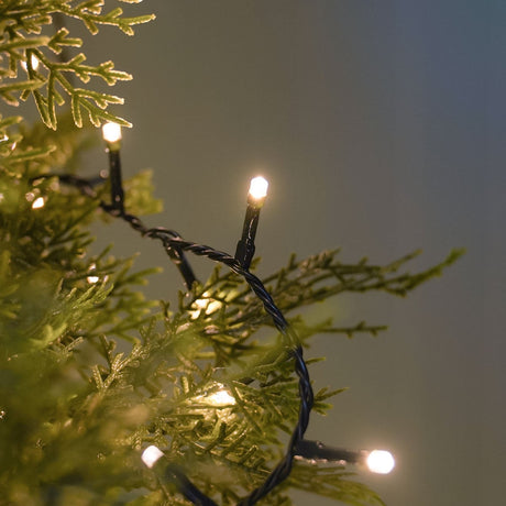 Outdoor Christmas Tree LED Fairy Lights