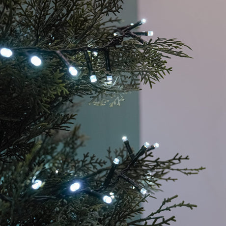 Outdoor Christmas Tree LED Fairy Lights