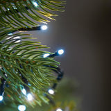 Outdoor Christmas Tree LED Fairy Lights