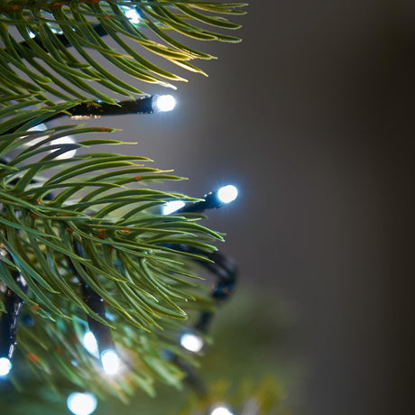 Outdoor Christmas Tree LED Fairy Lights