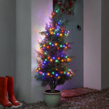 Outdoor Christmas Tree LED Fairy Lights