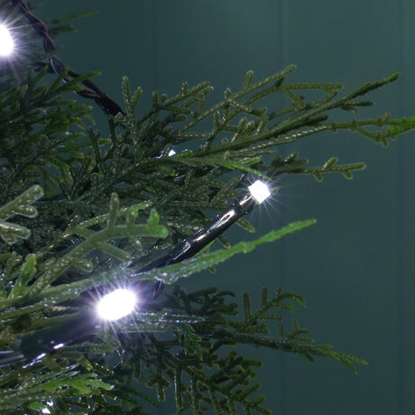 Indoor & Outdoor Battery Multifunction Fairy Lights