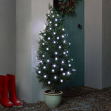 Indoor & Outdoor Battery Multifunction Fairy Lights