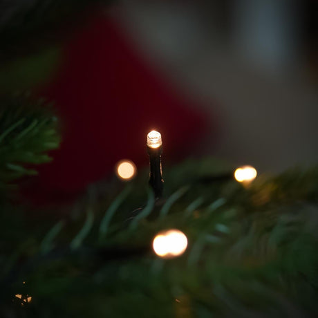 Indoor & Outdoor Battery Multifunction Fairy Lights