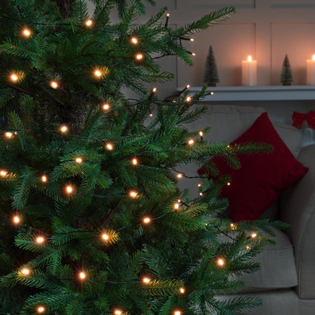 Indoor & Outdoor Battery Multifunction Fairy Lights