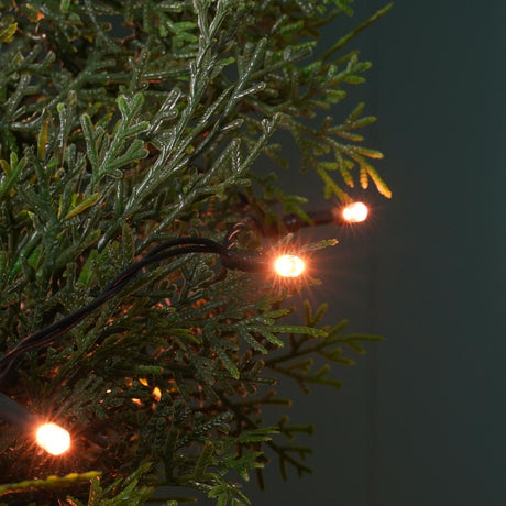 Indoor & Outdoor Battery Multifunction Fairy Lights