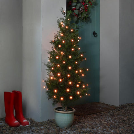 Indoor & Outdoor Battery Multifunction Fairy Lights