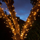 Indoor & Outdoor Battery Multifunction Fairy Lights