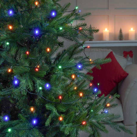 Indoor & Outdoor Battery Multifunction Fairy Lights
