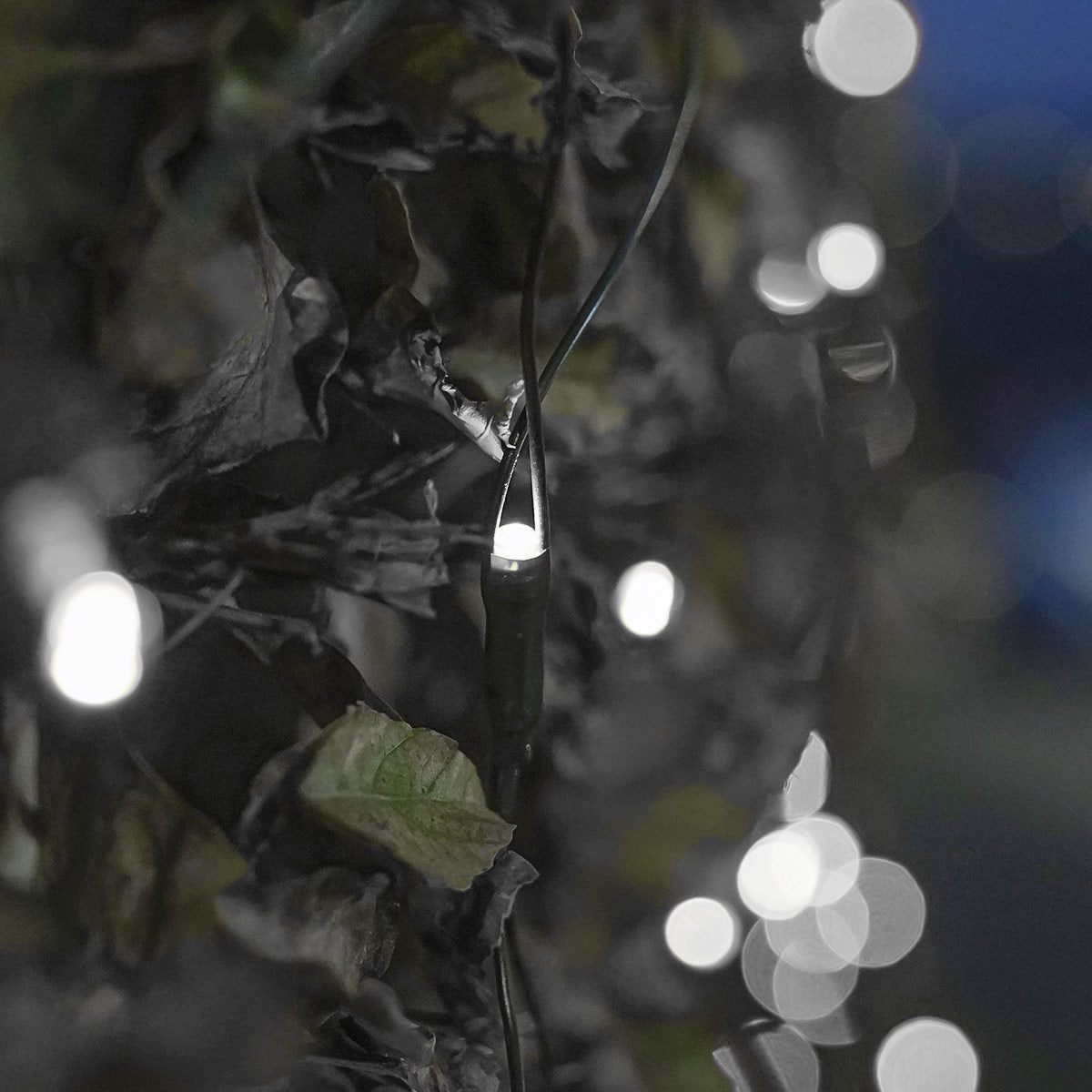 Outdoor Battery Multi Function Net lights
