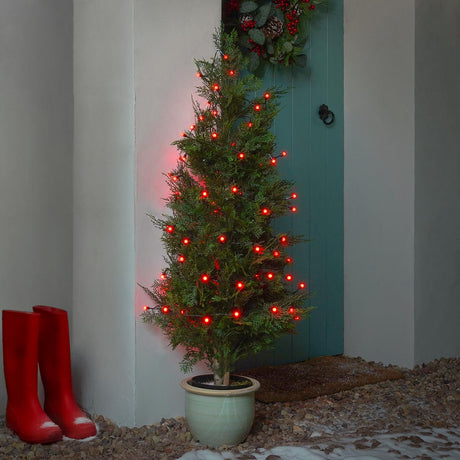 Indoor & Outdoor Battery Multifunction Berry Lights