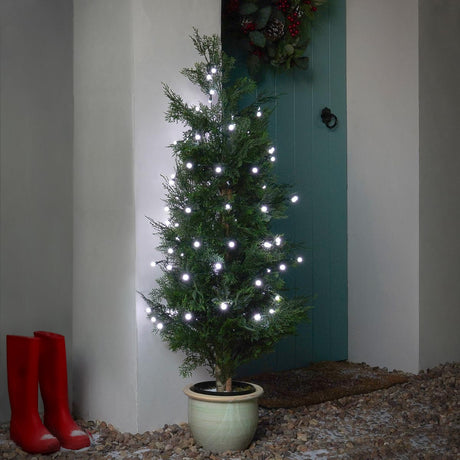 Indoor & Outdoor Battery Multifunction Berry Lights
