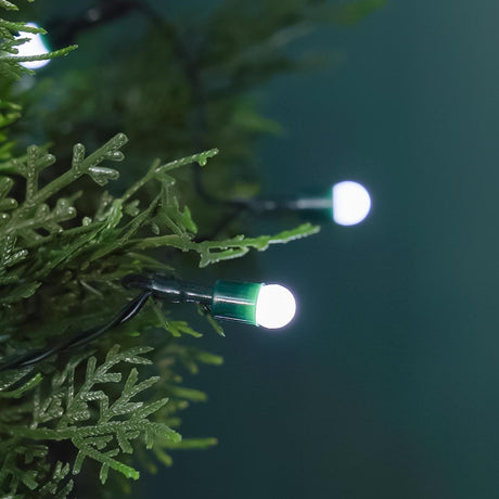 Indoor & Outdoor Battery Multifunction Berry Lights