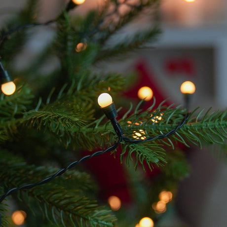 Indoor & Outdoor Battery Multifunction Berry Lights